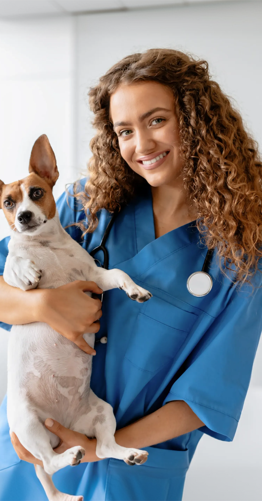 Medicina Veterinária